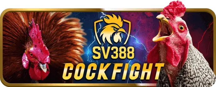 Các loại Cookie và cách vn116 sử dụng chúng
