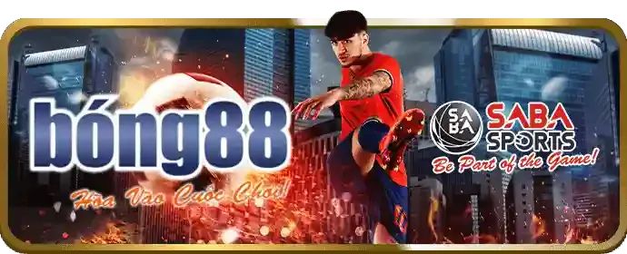 Quy trình nạp rút tiền an toàn tại vn116